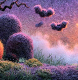 Halloween – Whimsical Wool Felt Decor